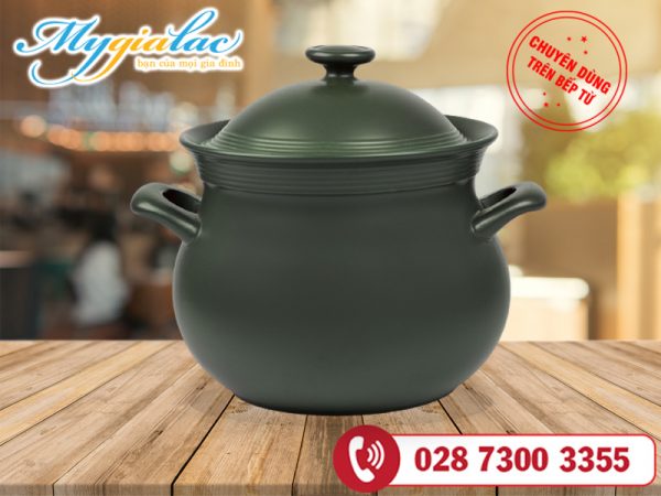 Nồi Dưỡng Sinh Hathor 7.1 L + Nắp (bếp Từ) Healthycook Xanh Rêu